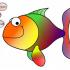 First year of FISH Network
