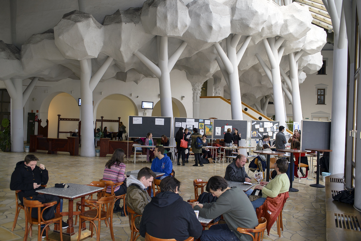 Nyílt napot tartottunk három helyszínen