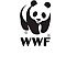 Kommunikációs gyakornokokat keres a WWF Magyarország