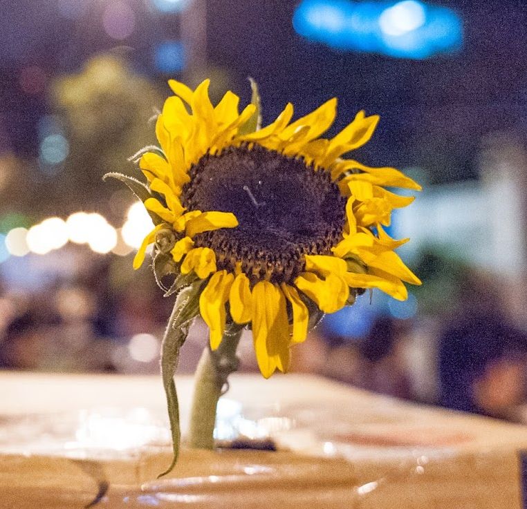 PEACH: The Sunflower Occupy Movement in Taiwan and the China Factor