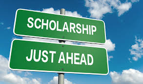 One-year scholarship program sponsored by the Free State of Bavaria