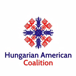 Koalíció Gyakornoki Program