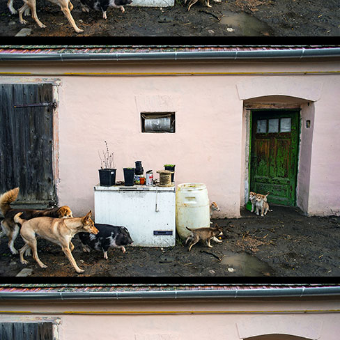 Faluvégétől a földútig