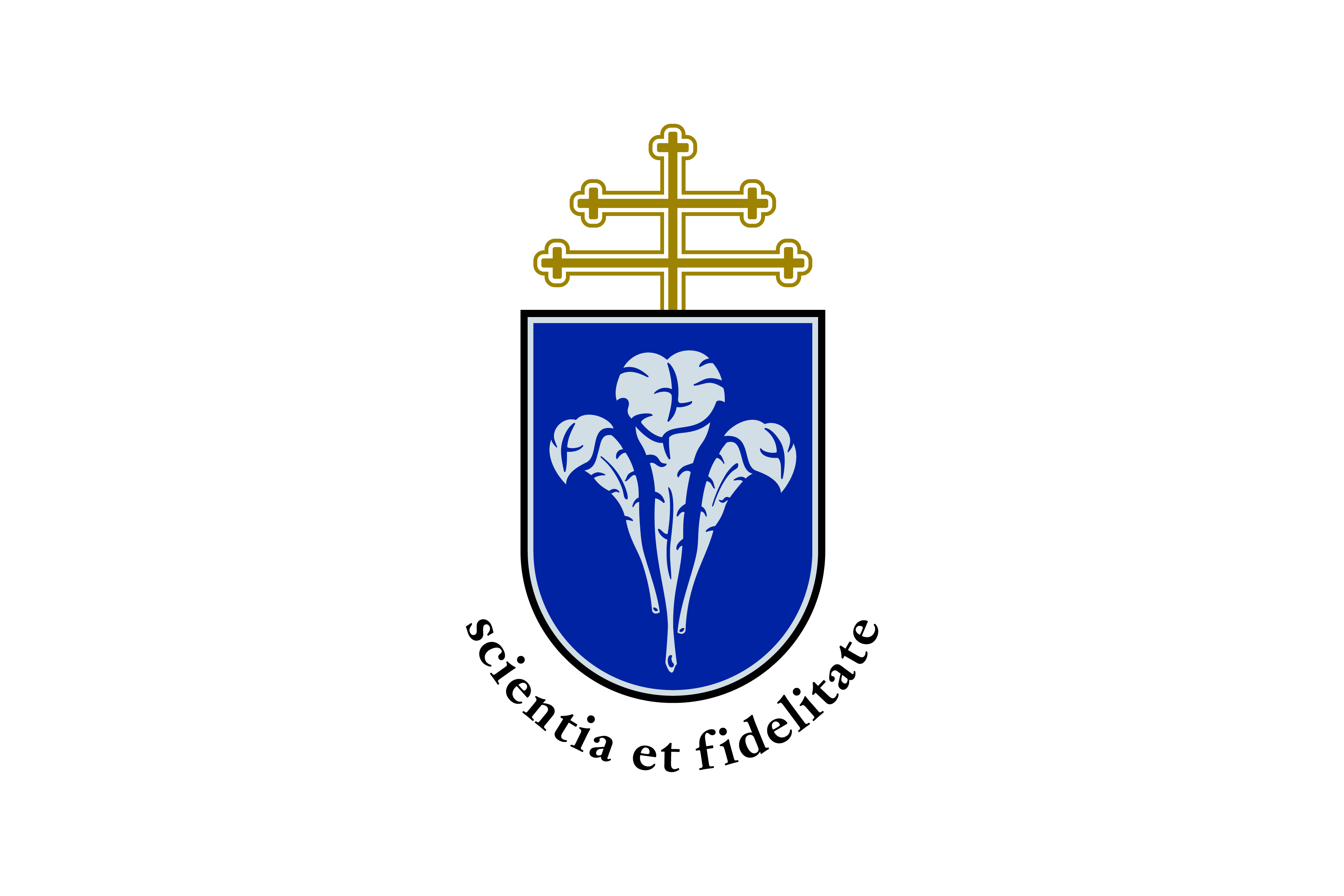Közlemény