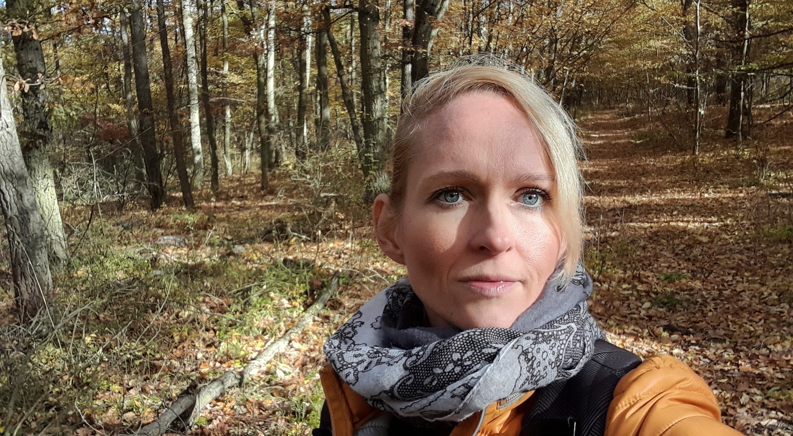 Új tanárnő, friss lendület