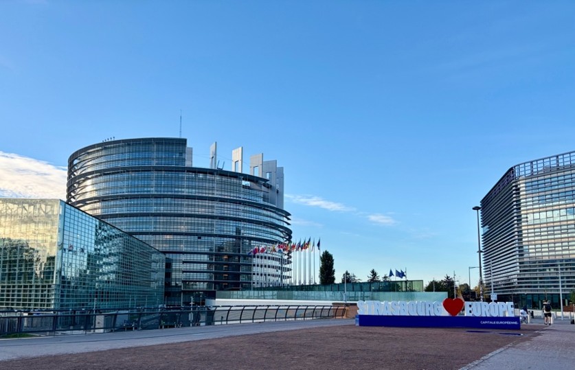 A propaganda nyelvének nyomában – kidaványbemutató előadás az Európa Tanács strasbourgi konferenciáján