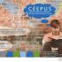 CEEPUS